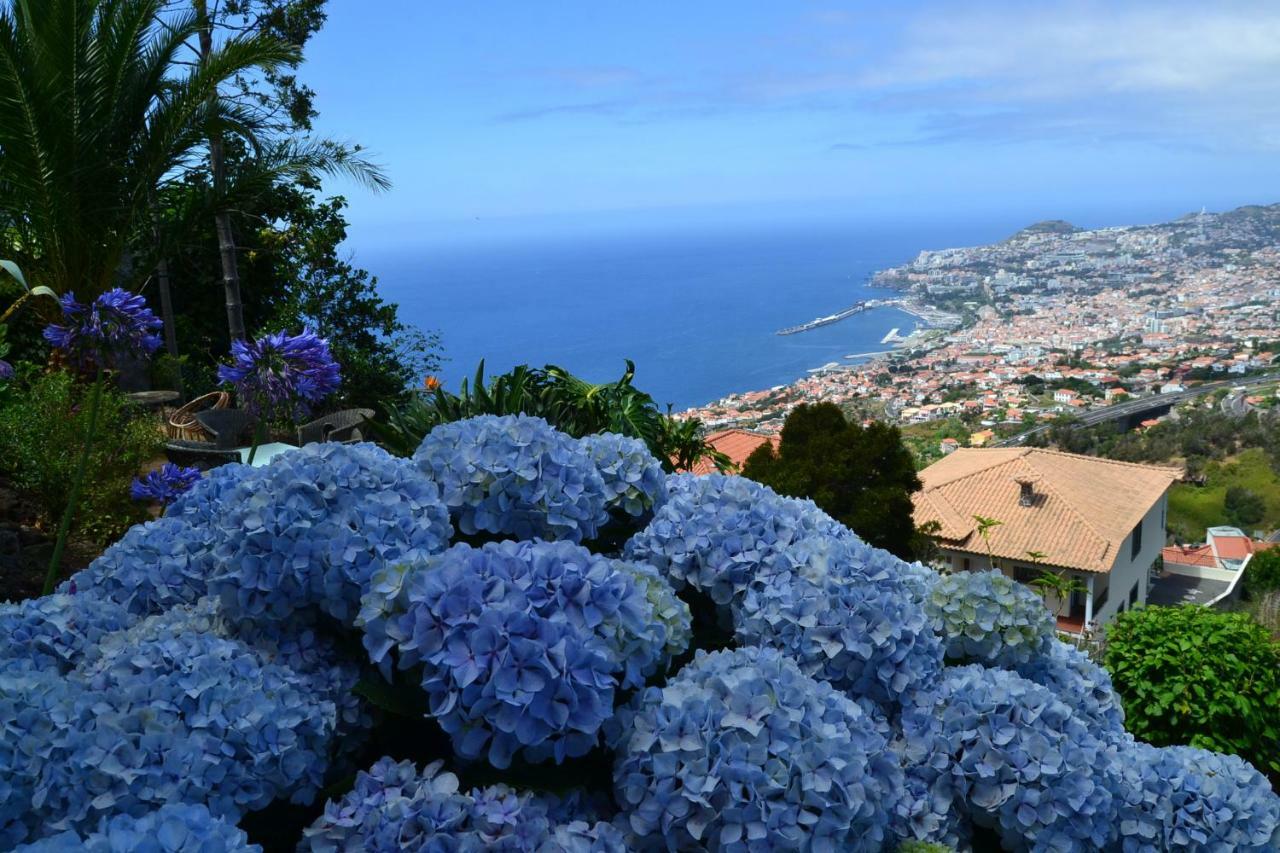 Holiday House 4 You Villa Funchal  Bagian luar foto